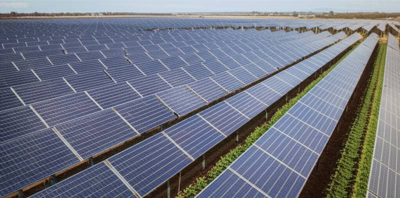 Featured image for Solar Panels That Let Crops Grow Underneath Them